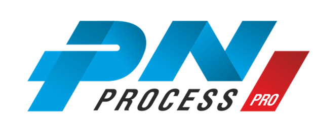 Логотип ПН Процесс Про